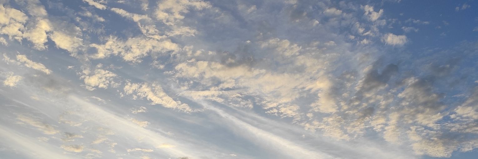 Junior & Cuecas banner