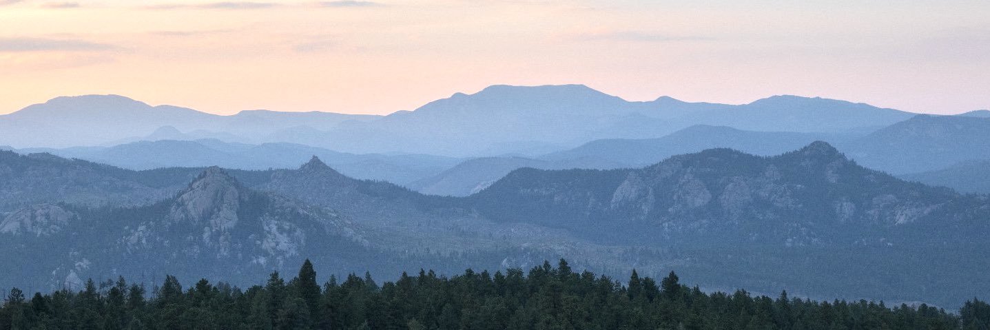 Travis Salléy banner