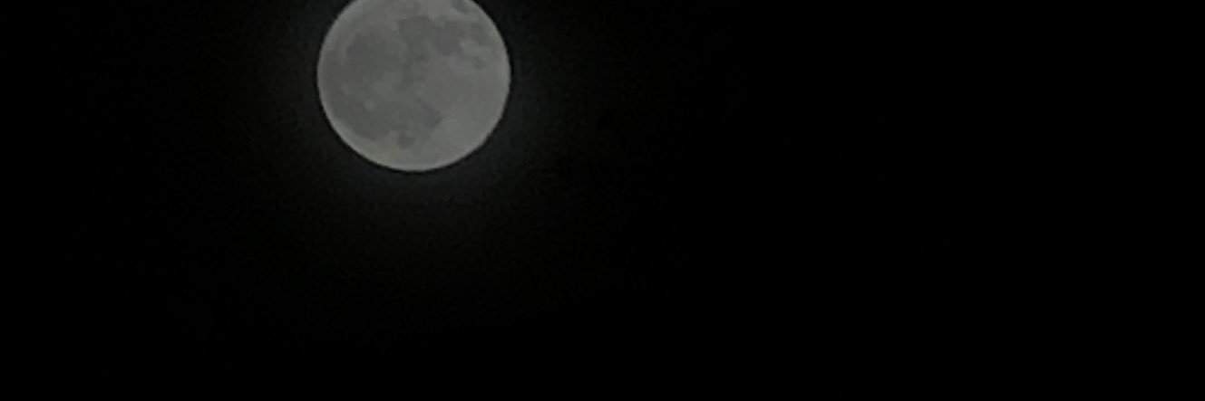 syn__18's profile banner image