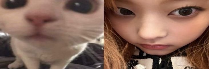 sprncalsp's profile banner image