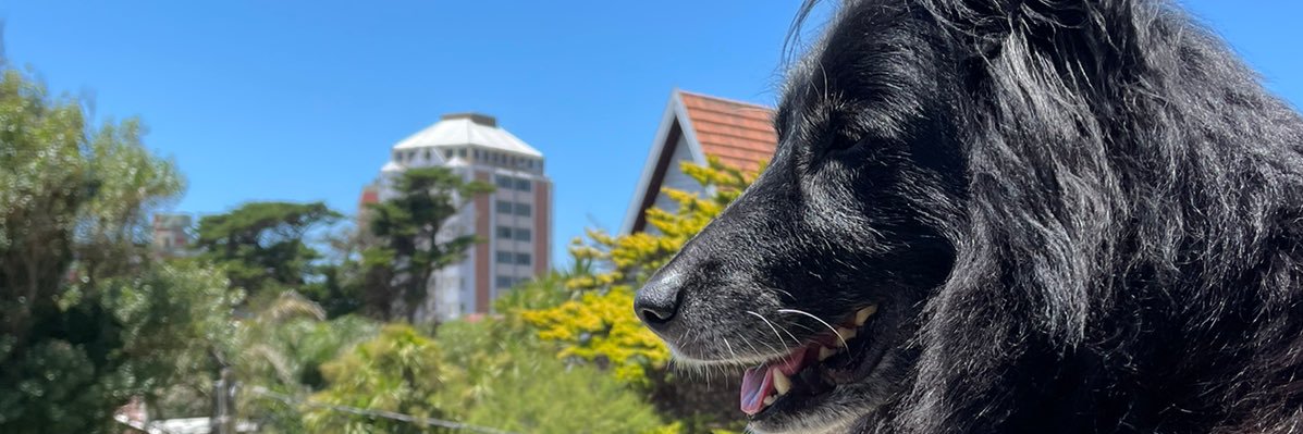 Agus_Oxi's profile banner image