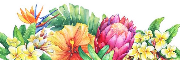shellyrn143's profile banner image