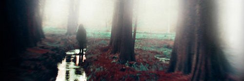 CindyWold's profile banner image