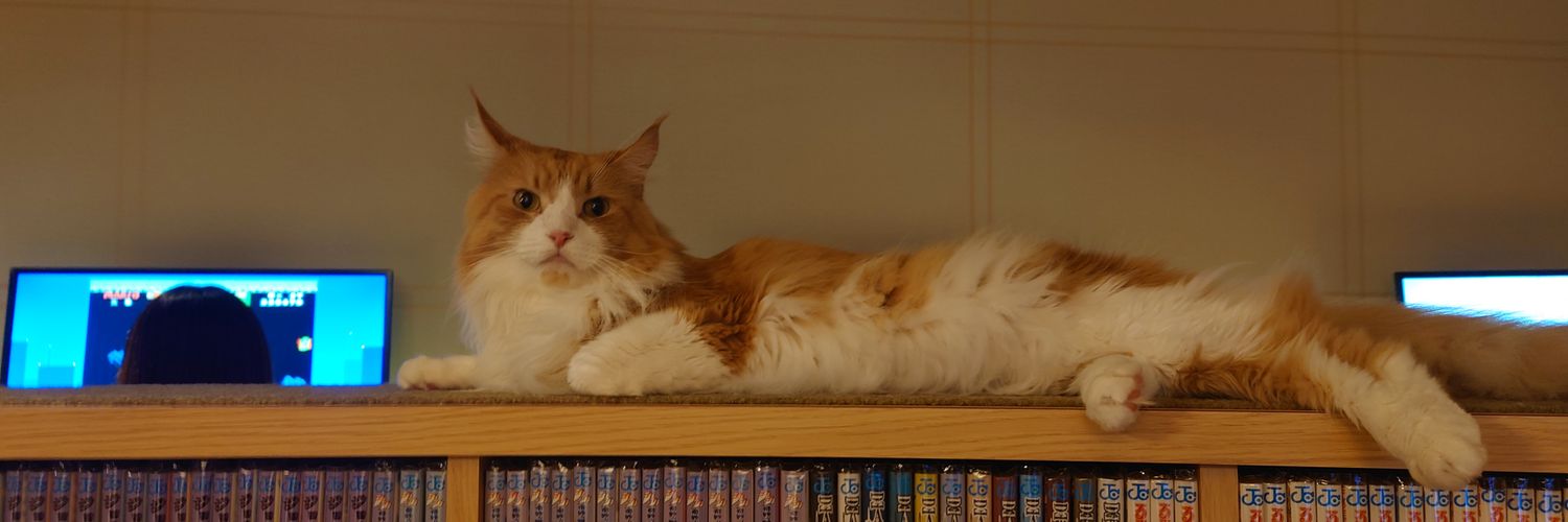 ferni_Tp's profile banner image