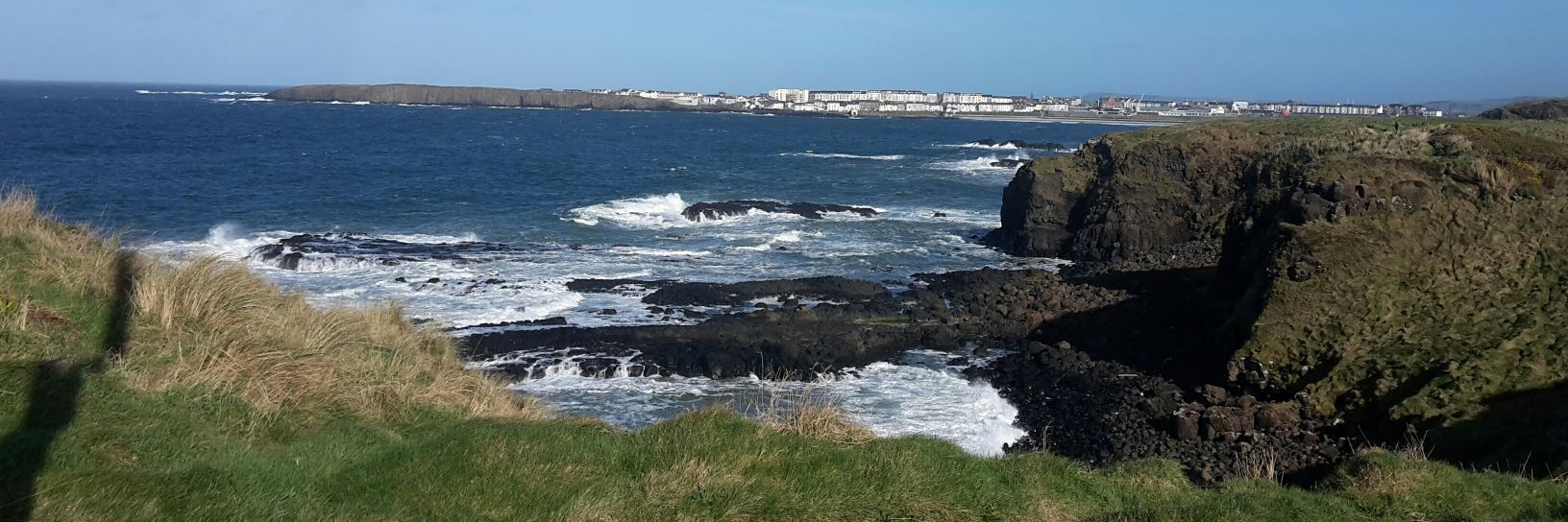 Amanda Skillen banner