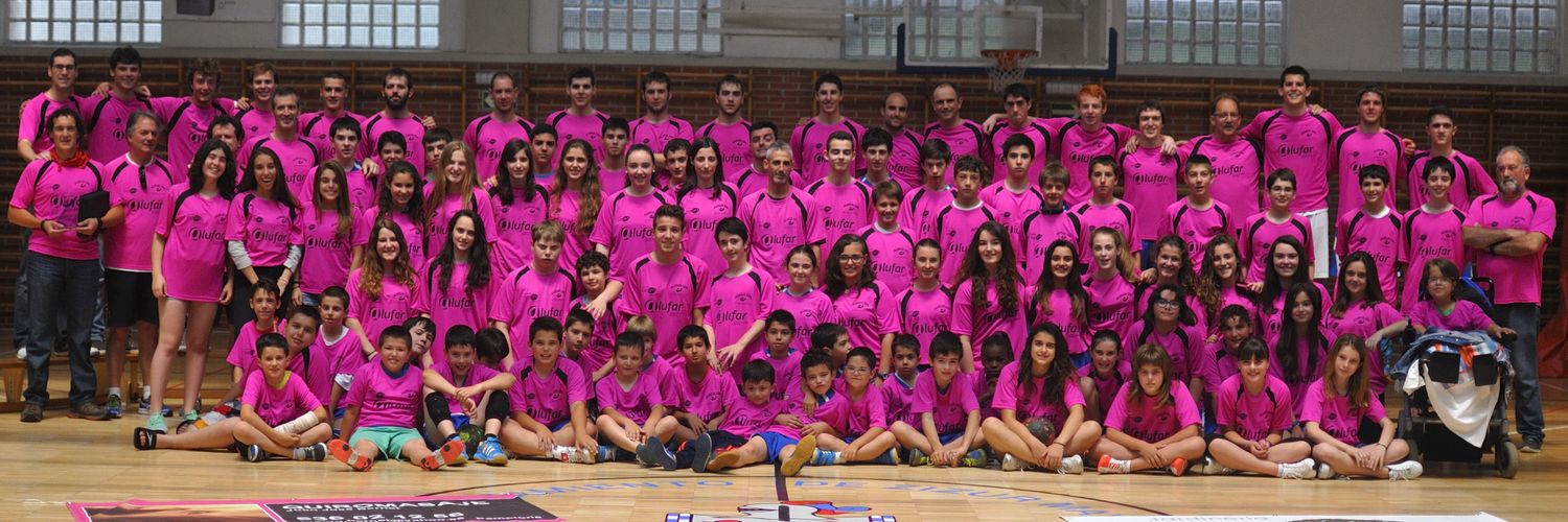 Balonmano Ardoi banner
