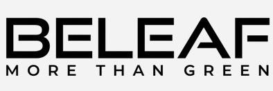 Beleaf_korea's profile banner image