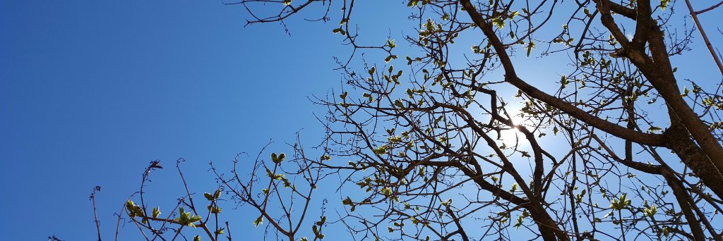 AhramoSini's profile banner image