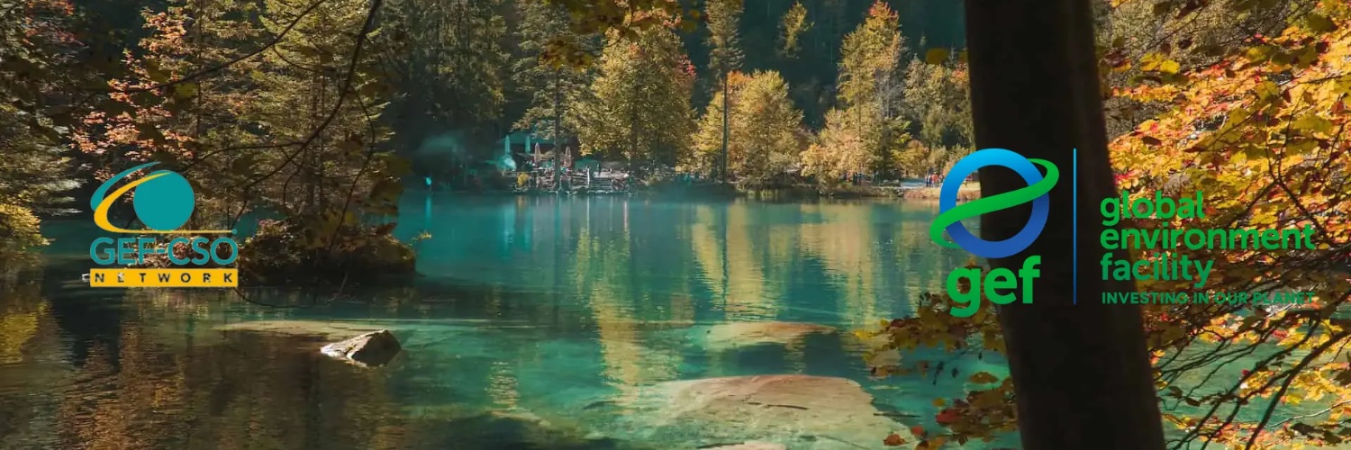 gefcsonetwork banner