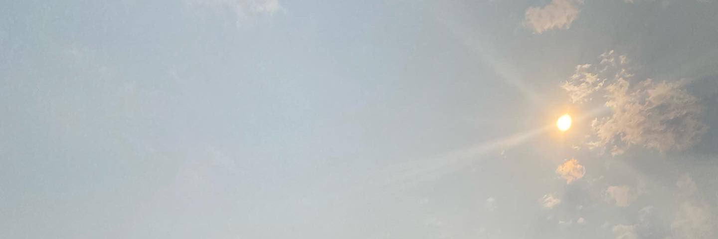 iarafortu's profile banner image