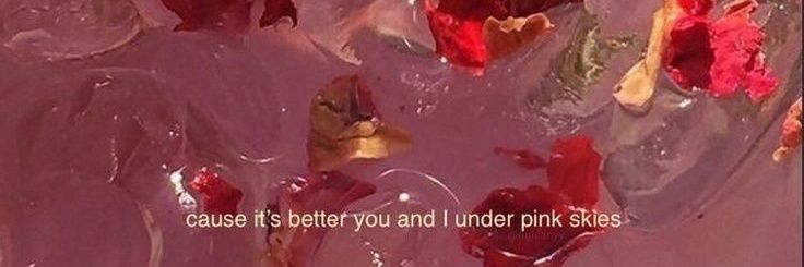 strawberwids's profile banner image