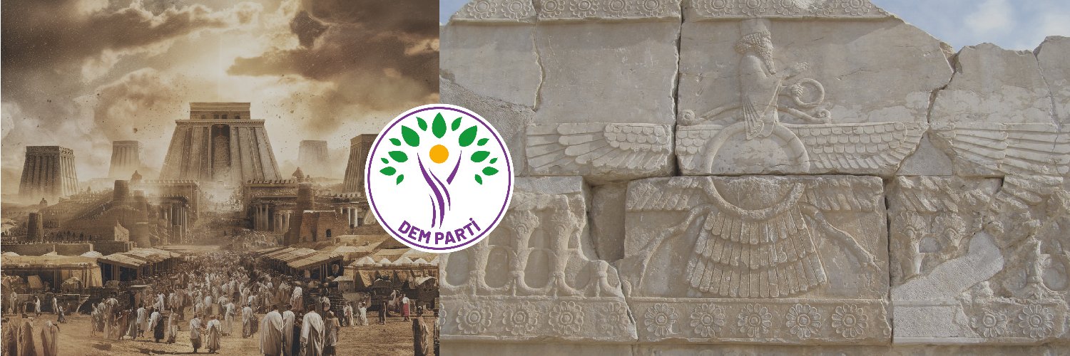 DEM Party Community Account banner