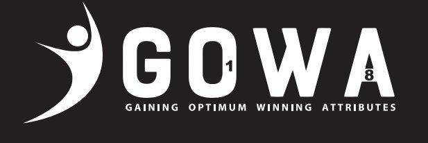 GOWAIRELAND's profile banner image