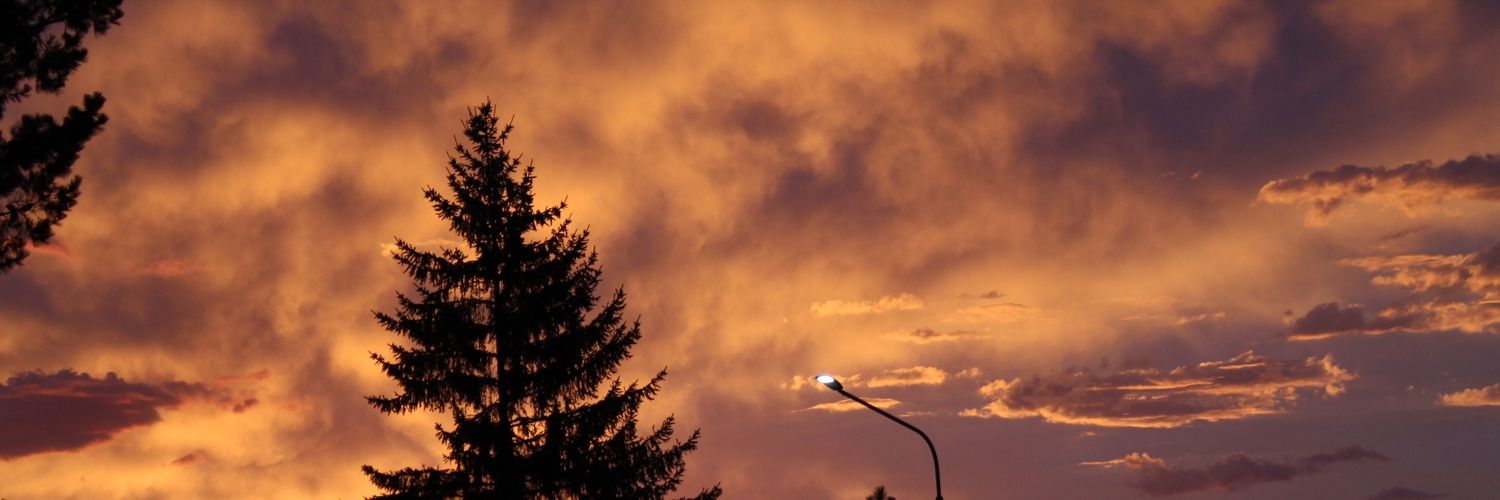 albertfiochetti's profile banner image