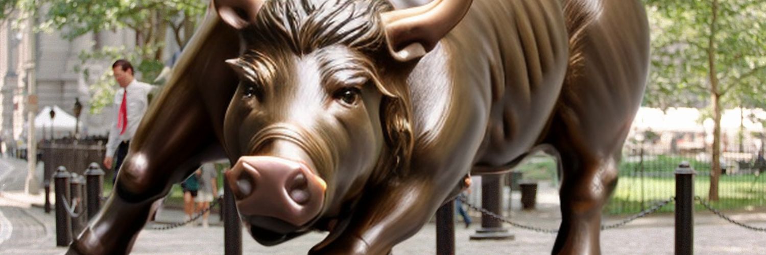 Piggyback Capital banner