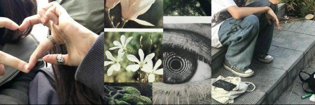 nix banner