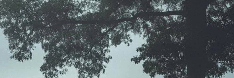 dayorsway's profile banner image