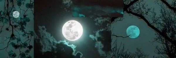 shukriya0 Profile Banner