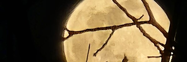 trppldiptsyco13 Profile Banner