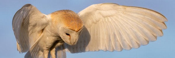 MichLockwood10 Profile Banner