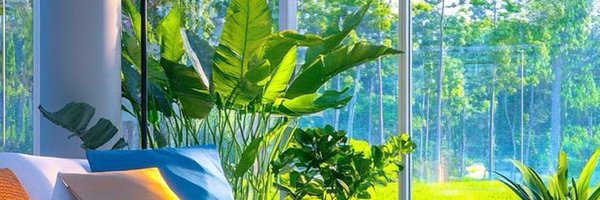 memeking002 Profile Banner