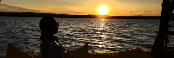 CarolTreegen Profile Banner