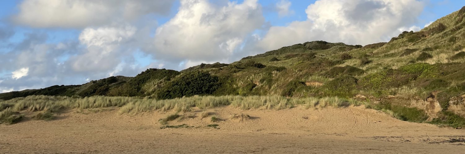 RLS Geography banner