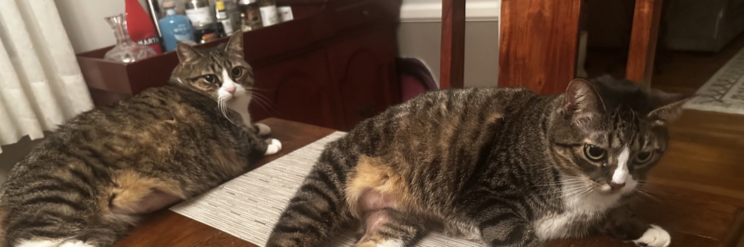 Nooobus (backup) 🇵🇸 banner