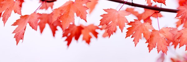 CGCanAtlanta Profile Banner