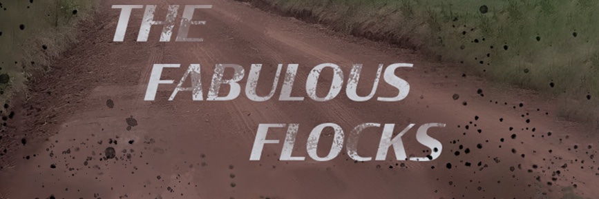 fabulousflocks's profile banner image
