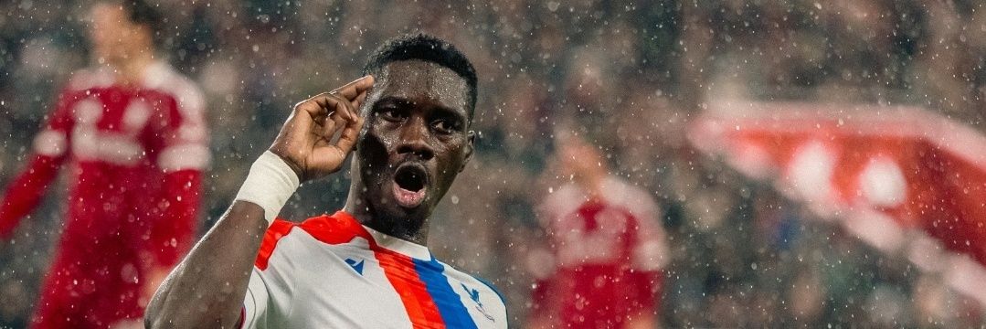 Crystal Palace Türkiye 🇹🇷 banner