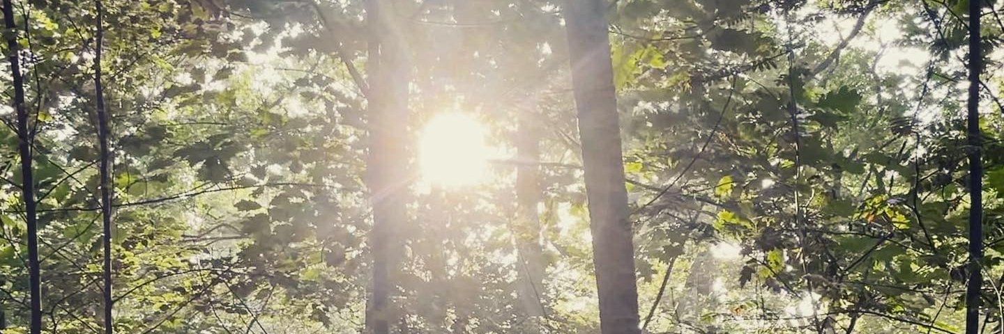 geektesse's profile banner image
