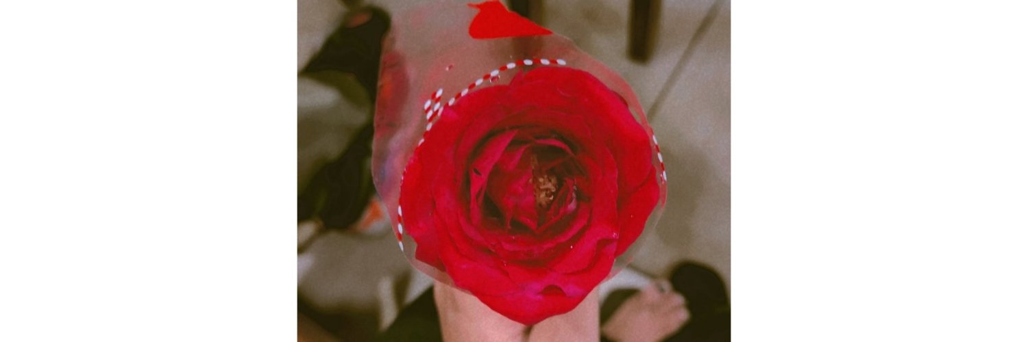 _Notur_bae_'s profile banner image