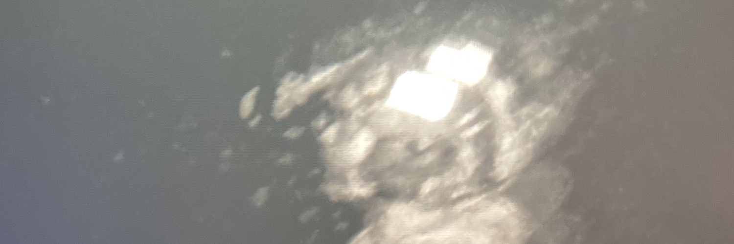 GRAYMATTER GREY 🌲🇺🇸🏴‍☠️🌲 banner