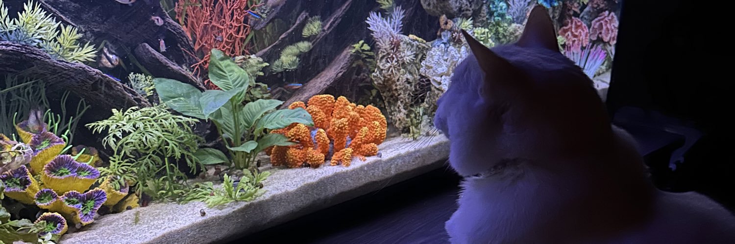 LaTorres Pack banner