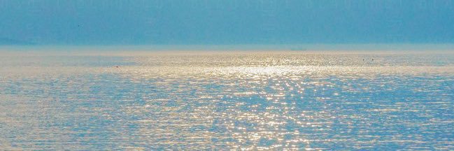 _waveofocean's profile banner image