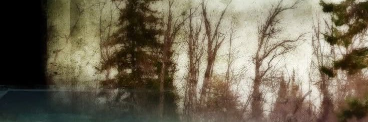 rianna⋆ banner
