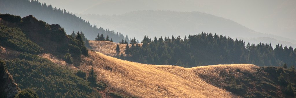 emay's profile banner image
