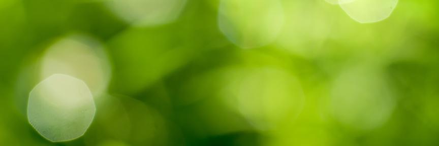 SS_Living's profile banner image