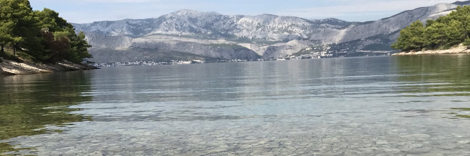 Sarah Gleeson banner