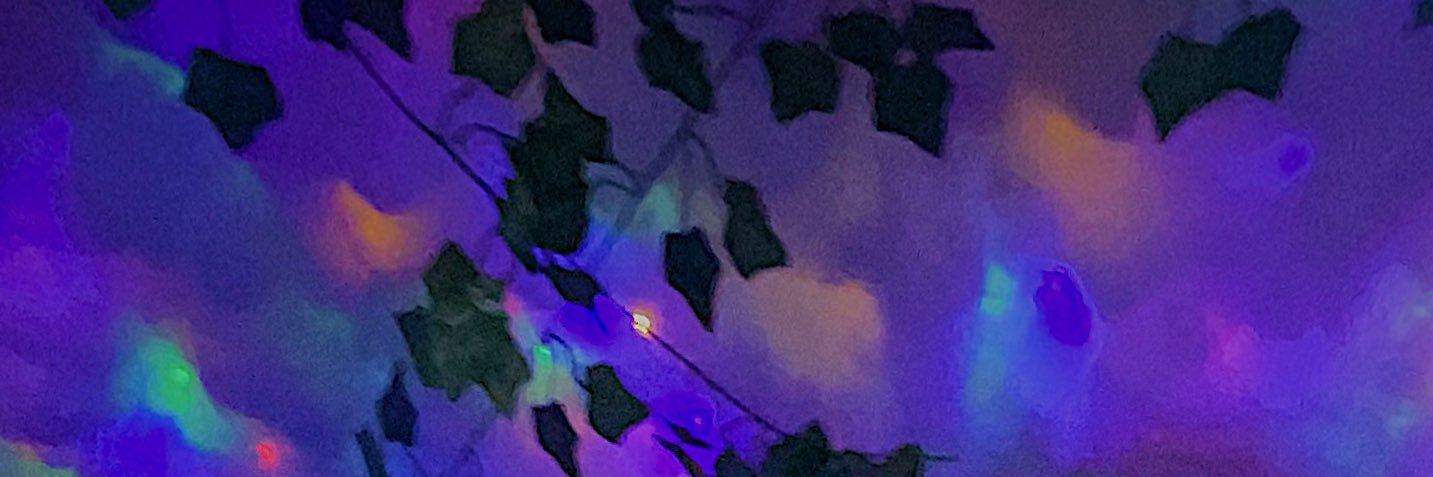 unclewilliekids's profile banner image