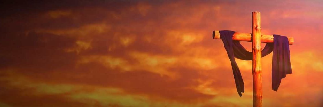 NaturalFork 🇺🇸 banner