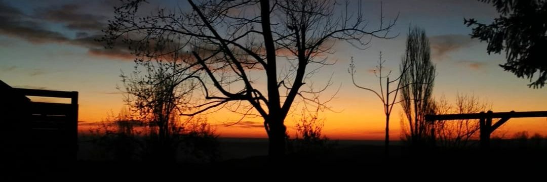 JKatic47's profile banner image