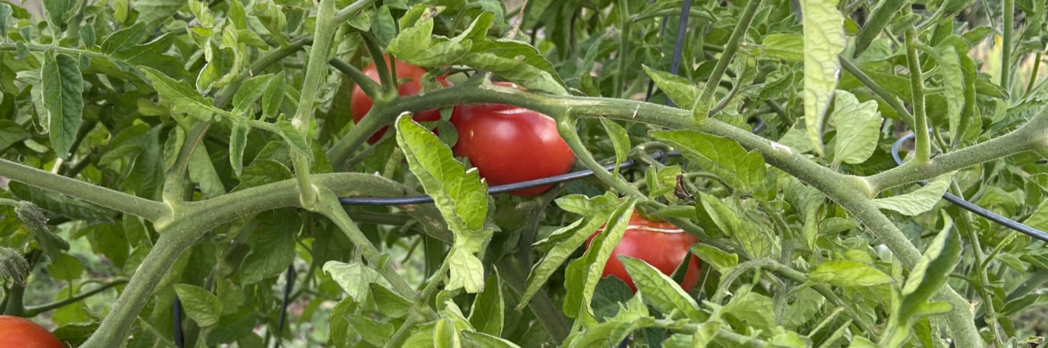 Climato111's profile banner image