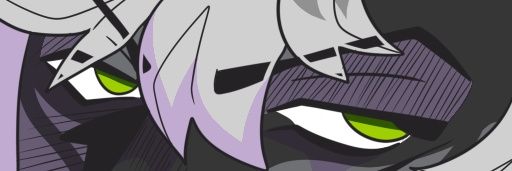 shawn skunk's banner