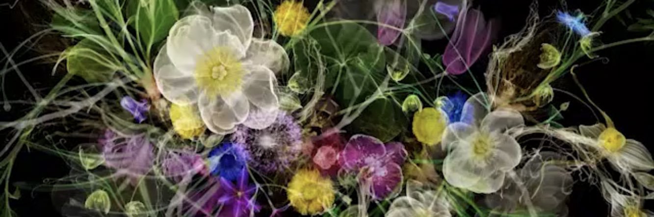 GNGOO's profile banner image