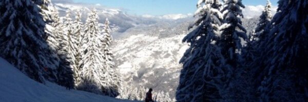 leehphysio Profile Banner