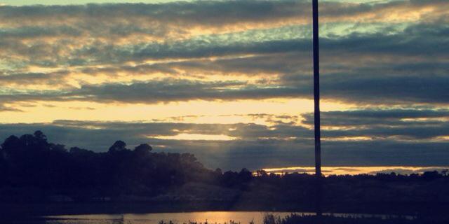 taylorrichey's profile banner image