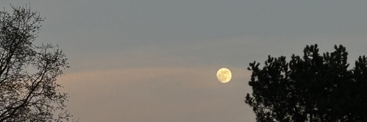naqqss's profile banner image