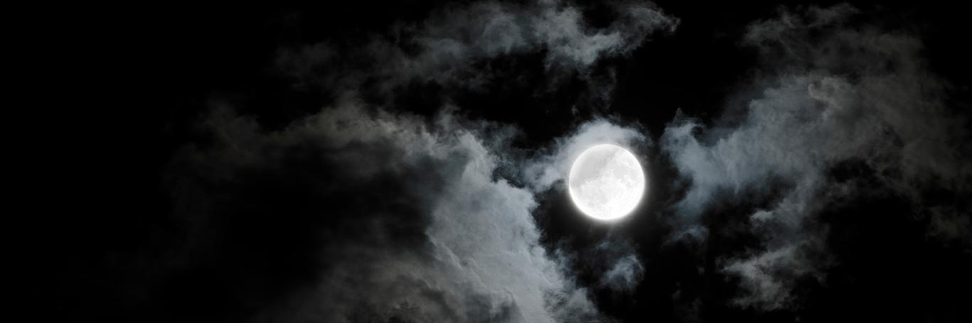 berliorz's profile banner image
